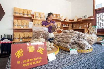 詩意田園“走”出深山，寄賣服務鋪就文化致富路